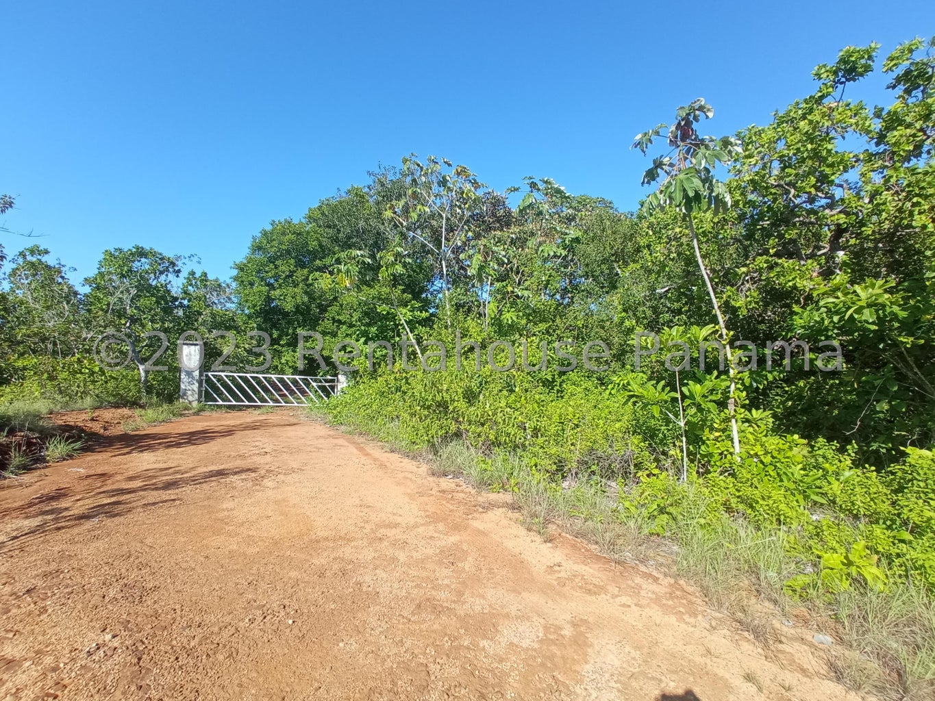Commercial Property for Sale in Panama City Panamá Province